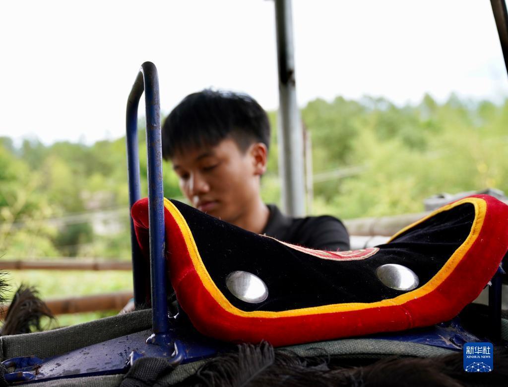 励娱乐盈